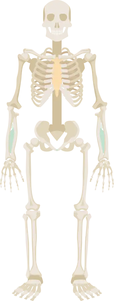 当整体院で改善・治療できるお悩み症状